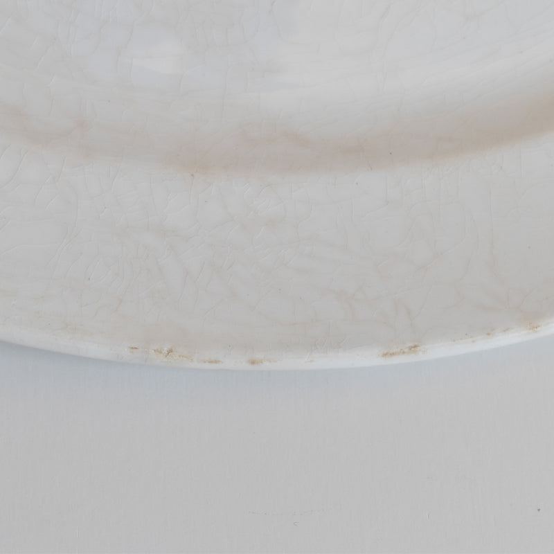 Antique Oval Plate Creil et Montereau Labrador