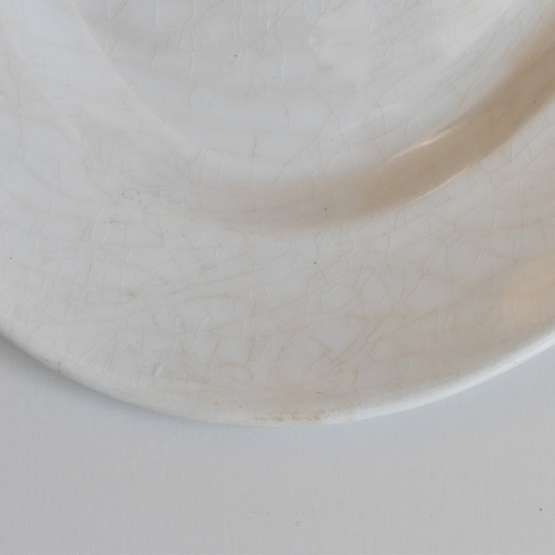 Antique Oval Plate Creil et Montereau Labrador
