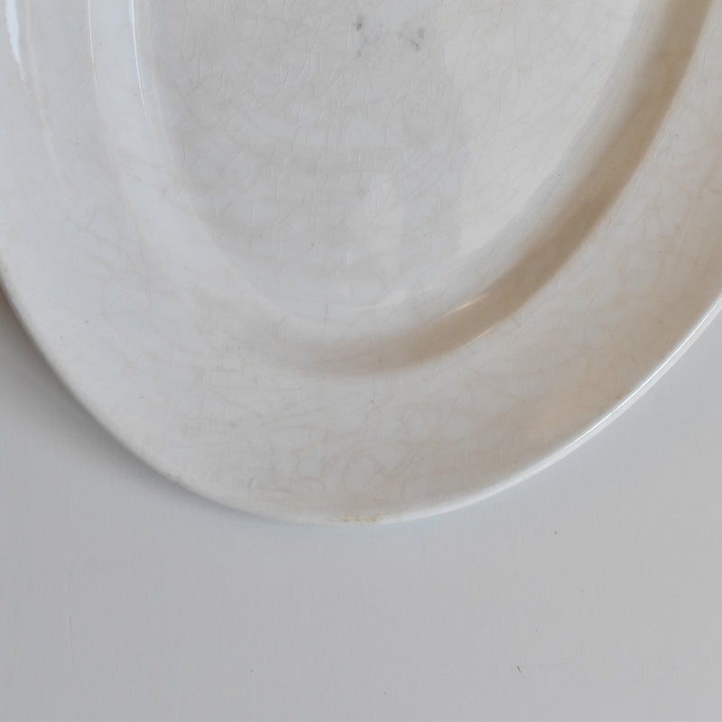 Antique Oval Plate Creil et Montereau Labrador