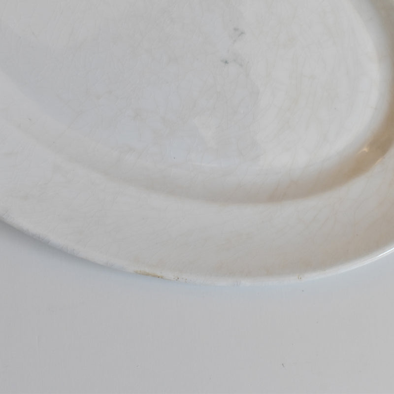 Antique Oval Plate Creil et Montereau Labrador
