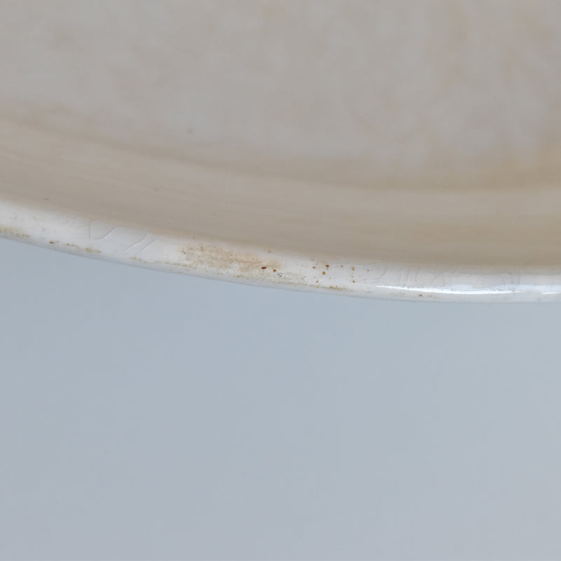 Antique Oval Plate Creil et Montereau Labrador