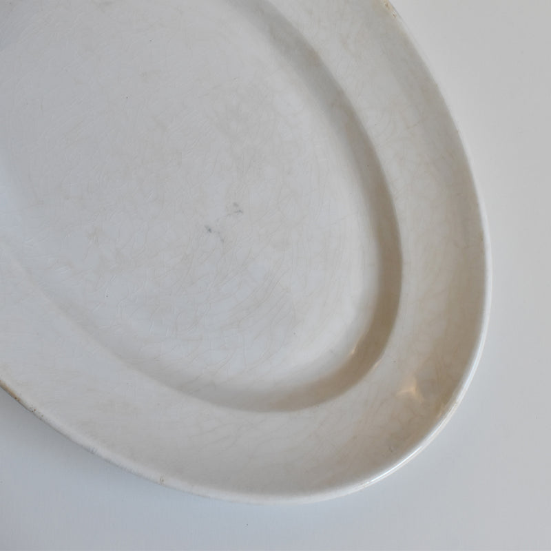 Antique Oval Plate Creil et Montereau Labrador