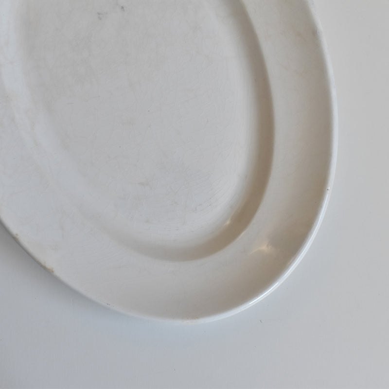 Antique Oval Plate Creil et Montereau Labrador