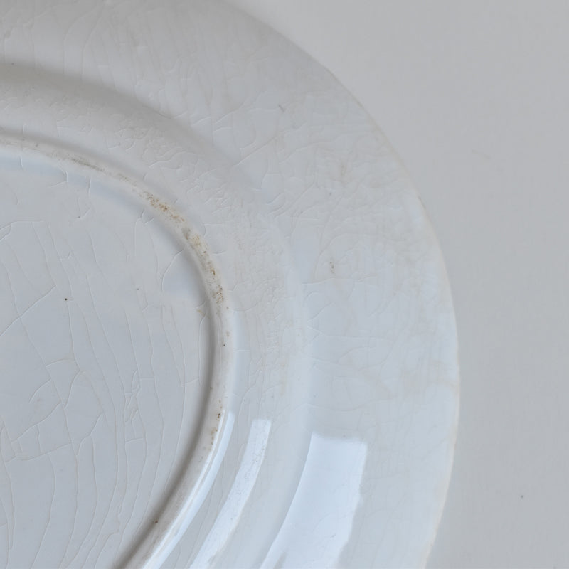 Antique Oval Plate Creil et Montereau Labrador