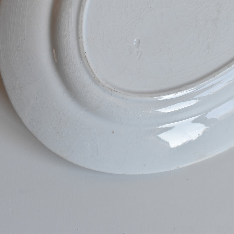 Antique Oval Plate Creil et Montereau Labrador