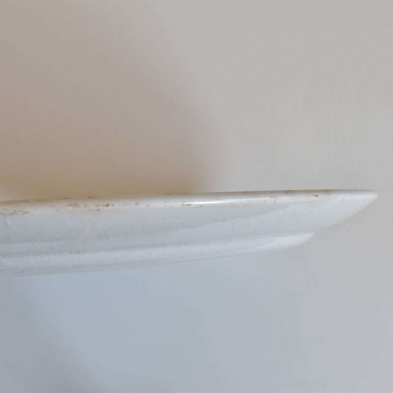 Antique Oval Plate Creil et Montereau Labrador