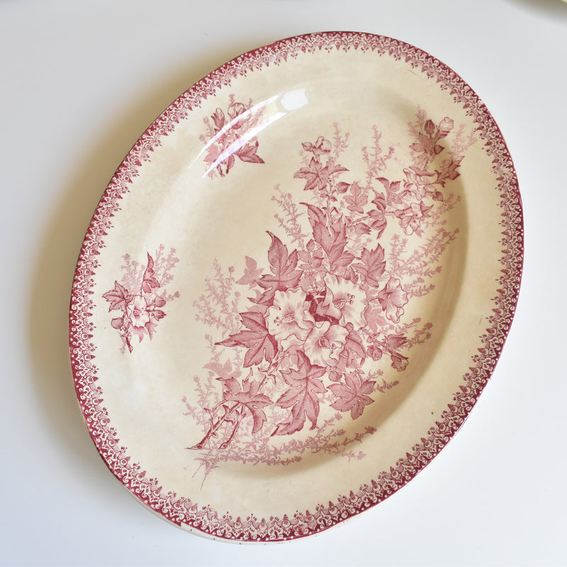 Antique Oval Plate Onann Eglantines