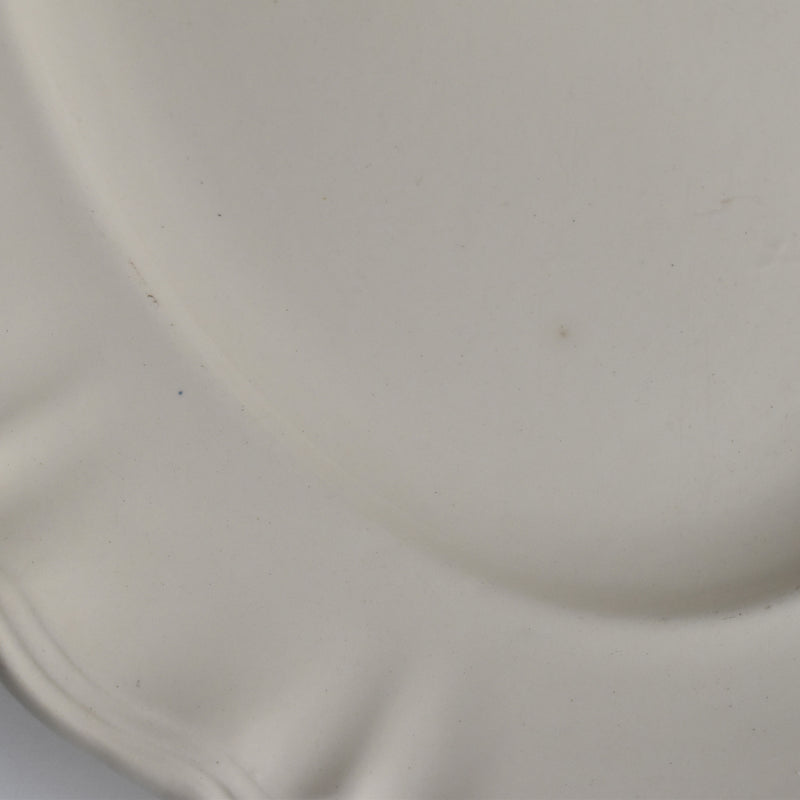 Vintage Oval Plate, Digoin & Sarreguemines, Floral Rim