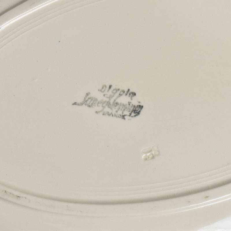 Vintage Oval Plate, Digoin & Sarreguemines, Floral Rim