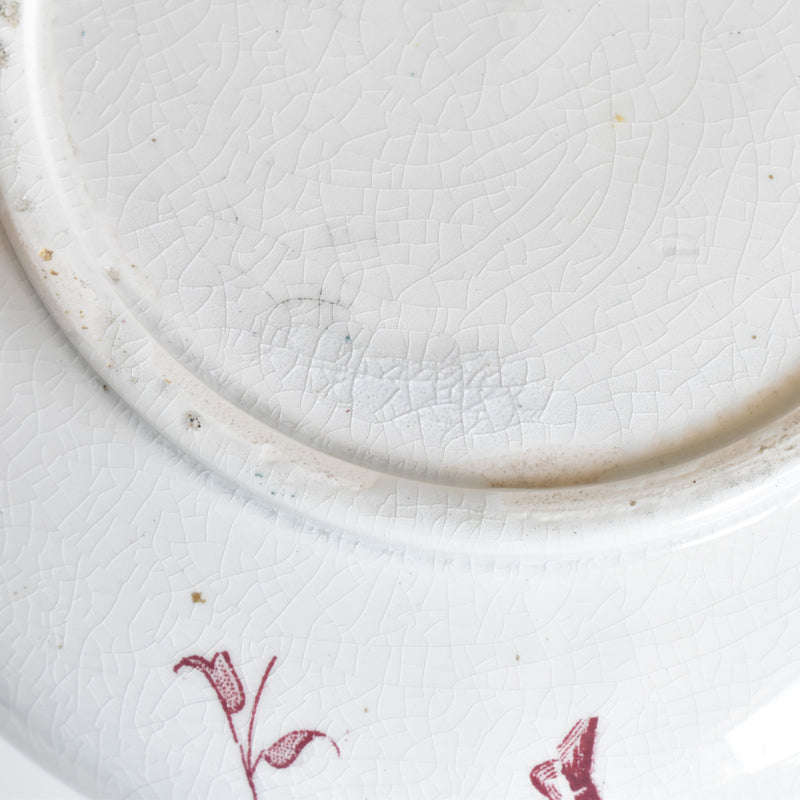 Antique Pitcher Red Flower