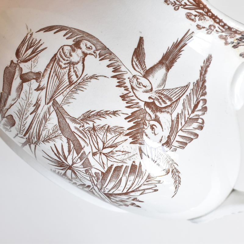 Antique Pitcher F.F Pecquessonne Roseaux