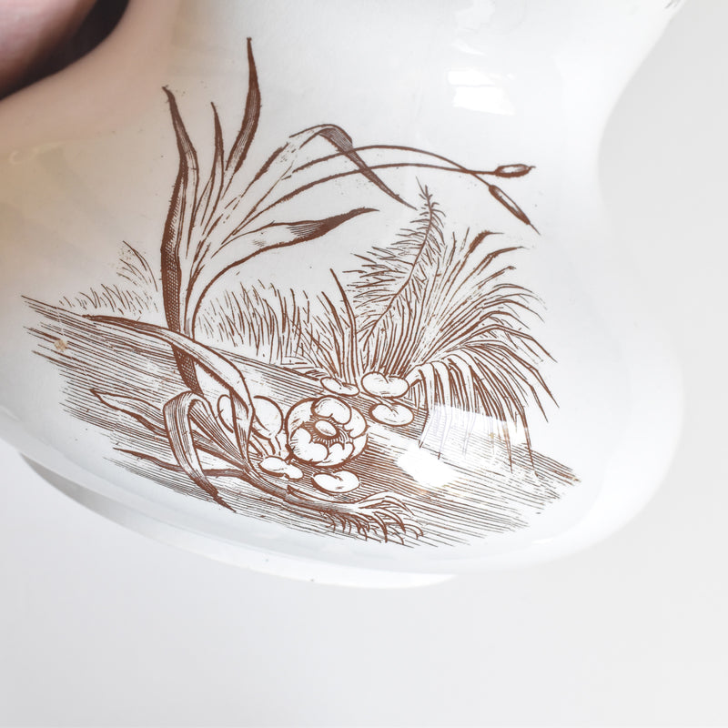 Antique Pitcher F.F Pecquessonne Roseaux
