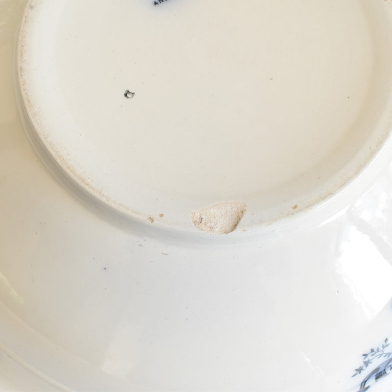 Antique Pitcher & Bowl Saint Amand Anémone