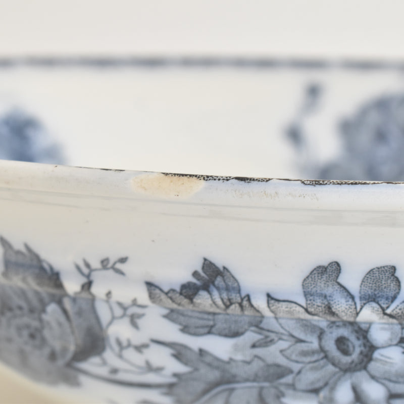 Antique Pitcher & Bowl Saint Amand Anémone