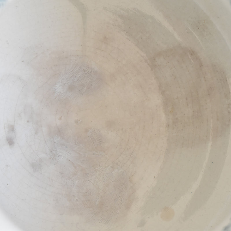 Antique Pitcher & Basin U&C Sarreguemines Canards