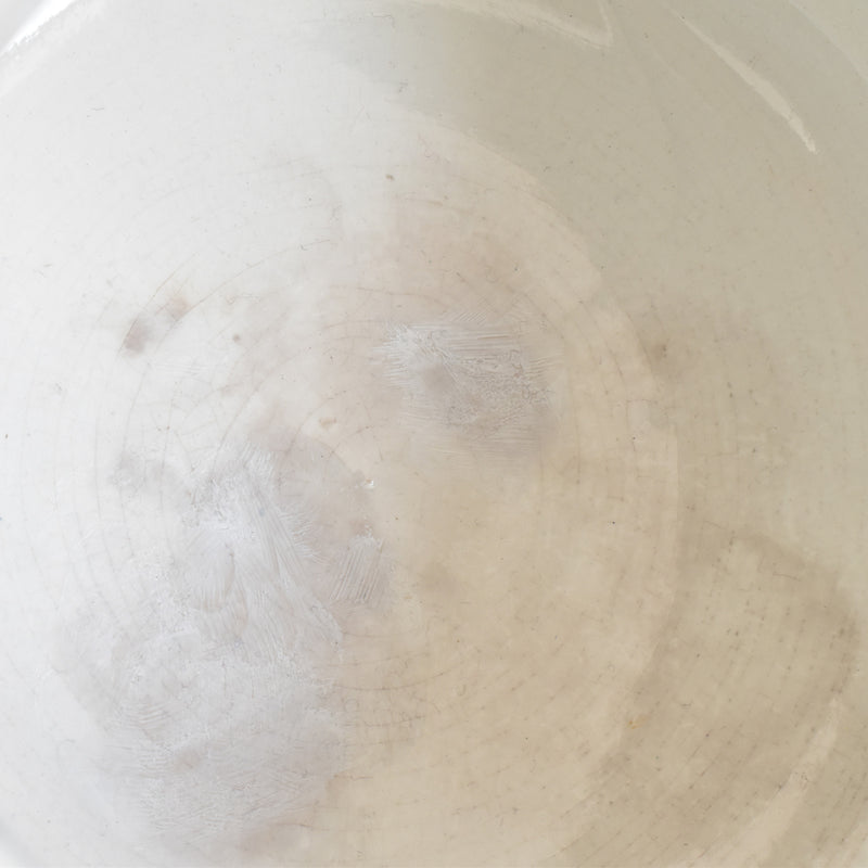 Antique Pitcher & Basin U&C Sarreguemines Canards