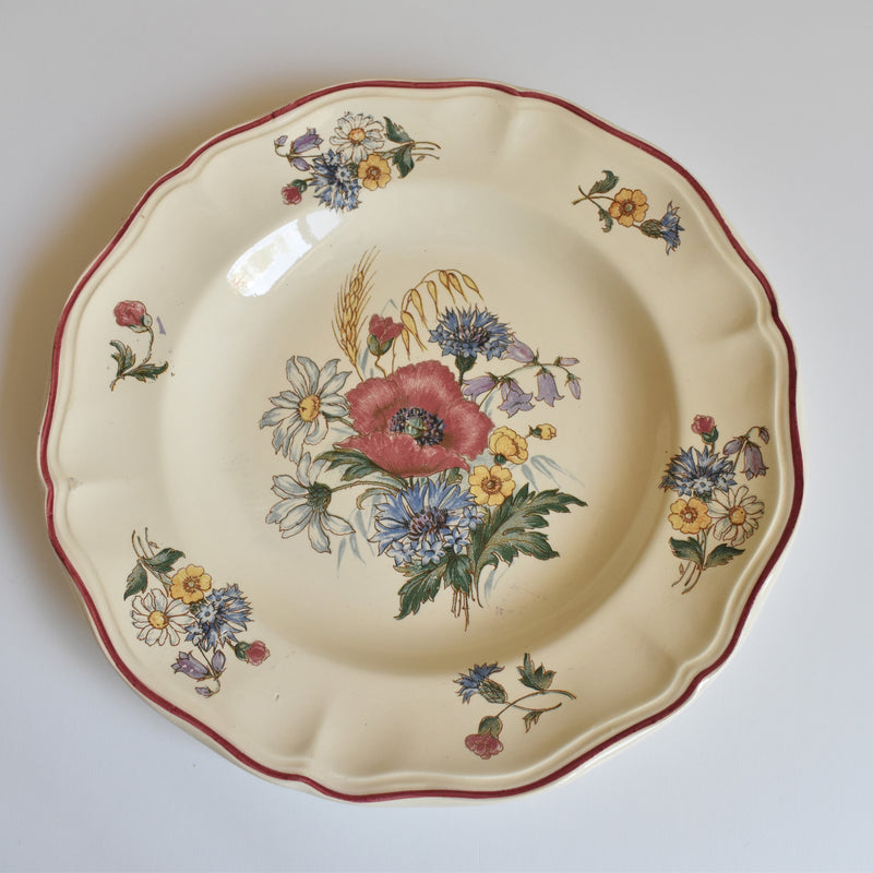 Vintage Plate Digoin & Sarreguemines Agreste A