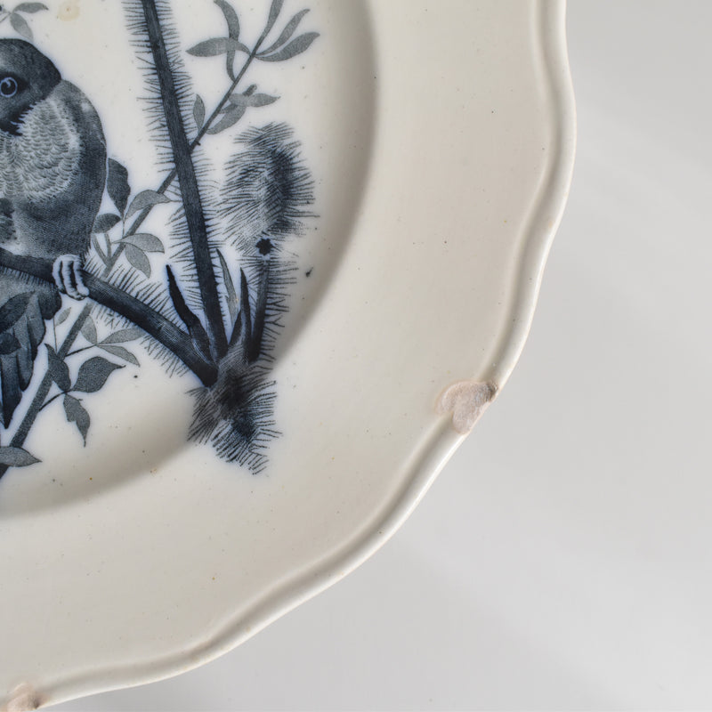 Antique Plate BWM&CO Brown Westhead Moore & Co. Canova A