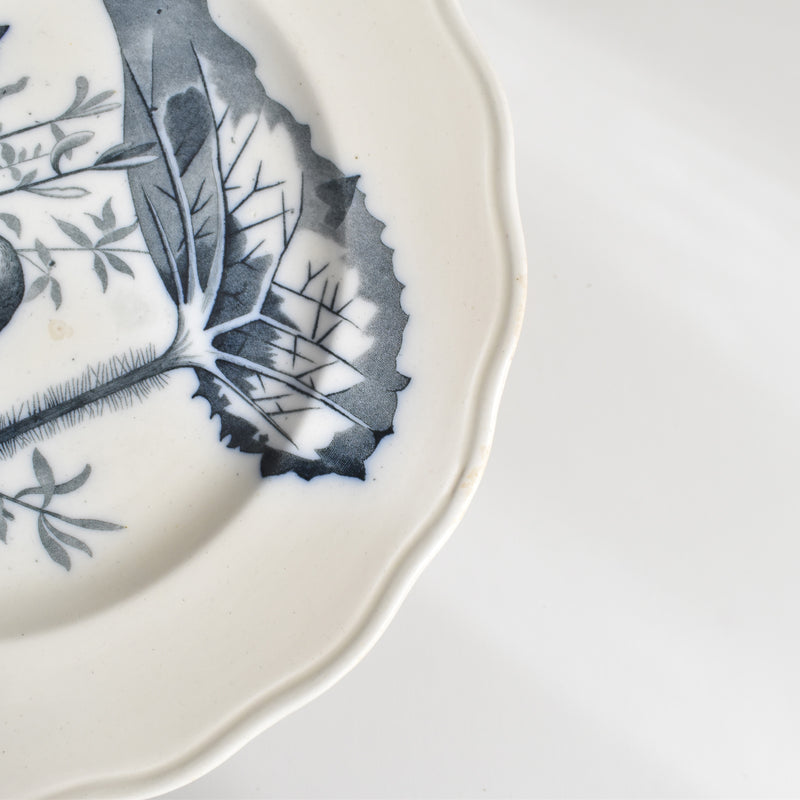 Antique Plate BWM&CO Brown Westhead Moore & Co. Canova A