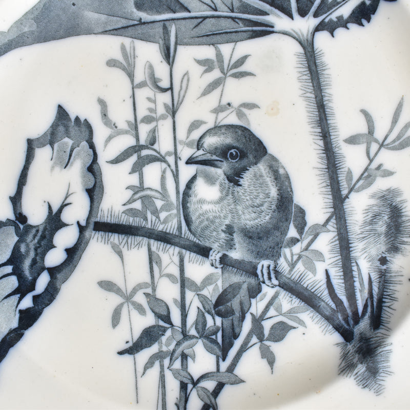 Antique Plate BWM&CO Brown Westhead Moore & Co. Canova A