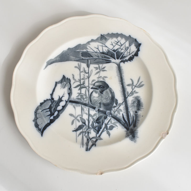 Antique Plate BWM&CO Brown Westhead Moore & Co. Canova A