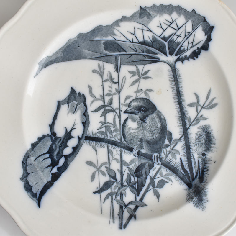 Antique Plate BWM&CO Brown Westhead Moore & Co. Canova A