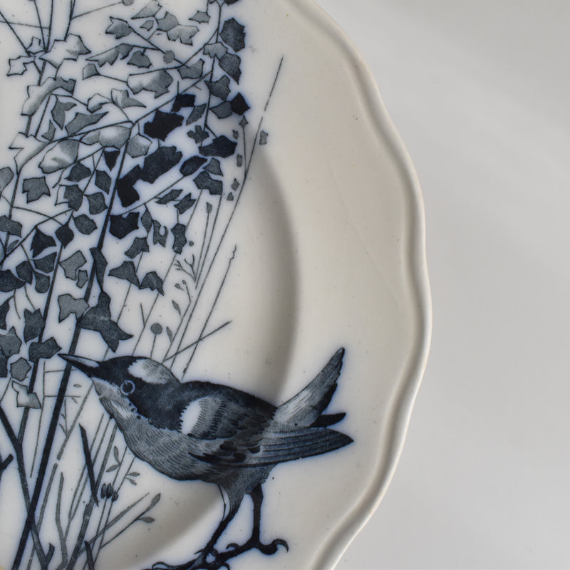 Antique Plate BWM&CO Brown Westhead Moore & Co. Canova B