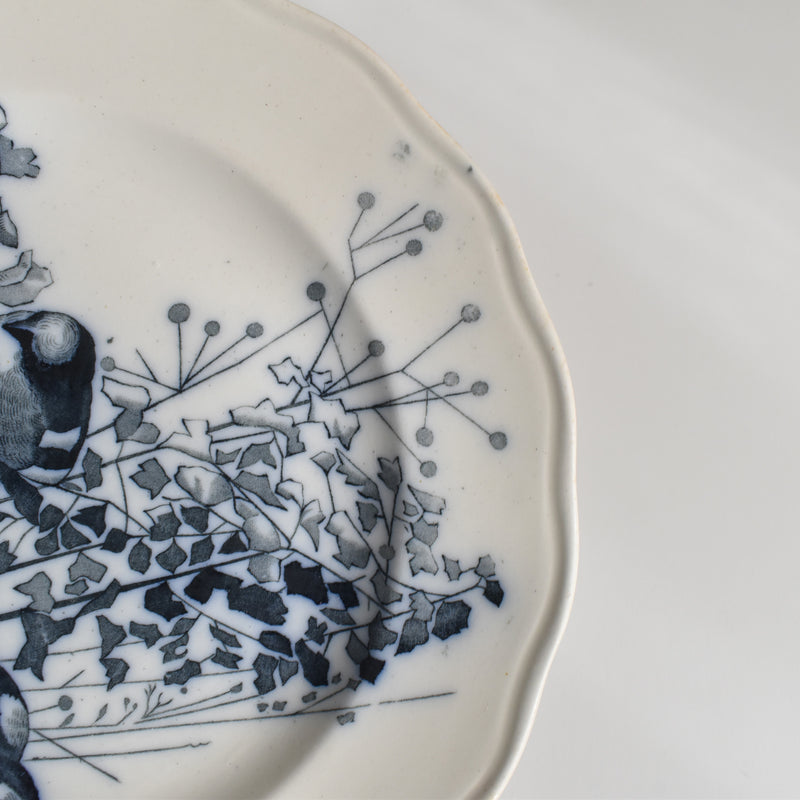 Antique Plate BWM&CO Brown Westhead Moore & Co. Canova B