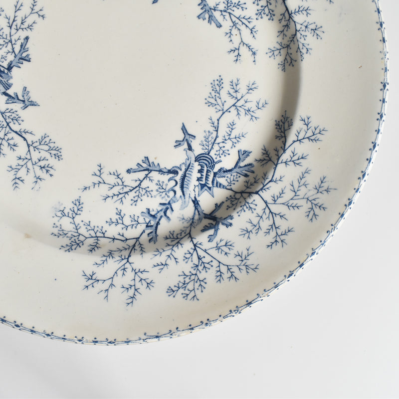 Antique Plate Terre de Fer Coquillages C