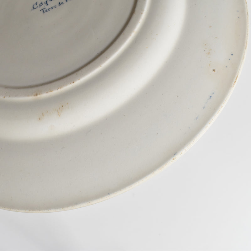 Antique Plate Terre de Fer Coquillages C