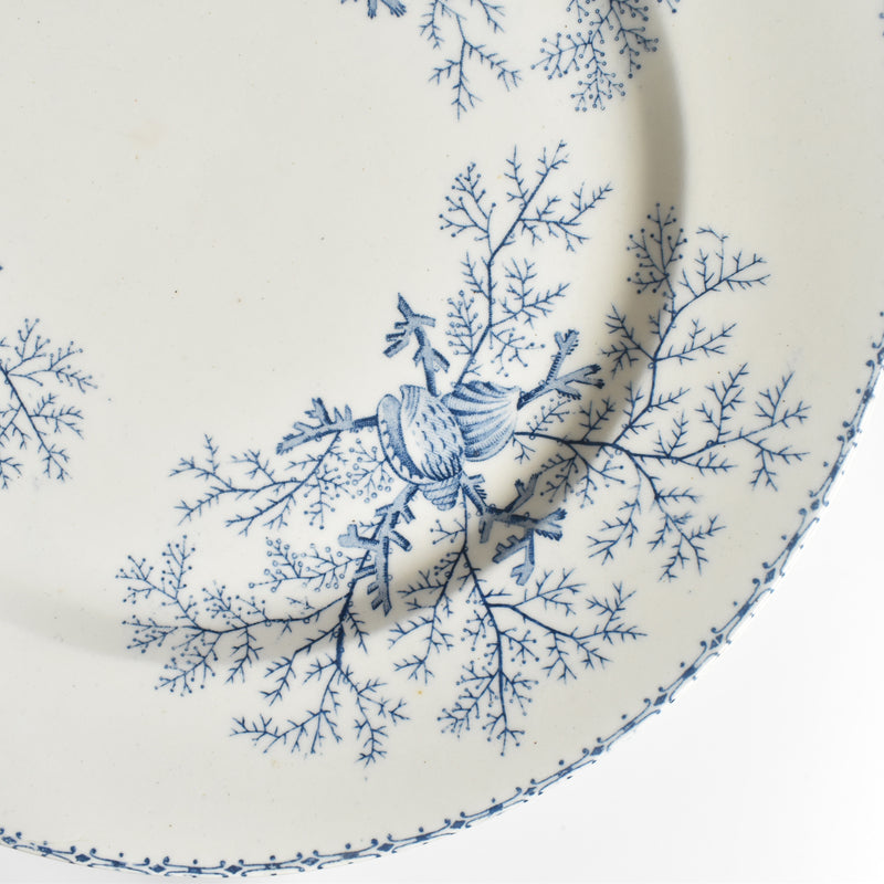 Antique Plate Terre de Fer Coquillages D