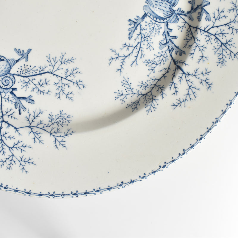 Antique Plate Terre de Fer Coquillages D