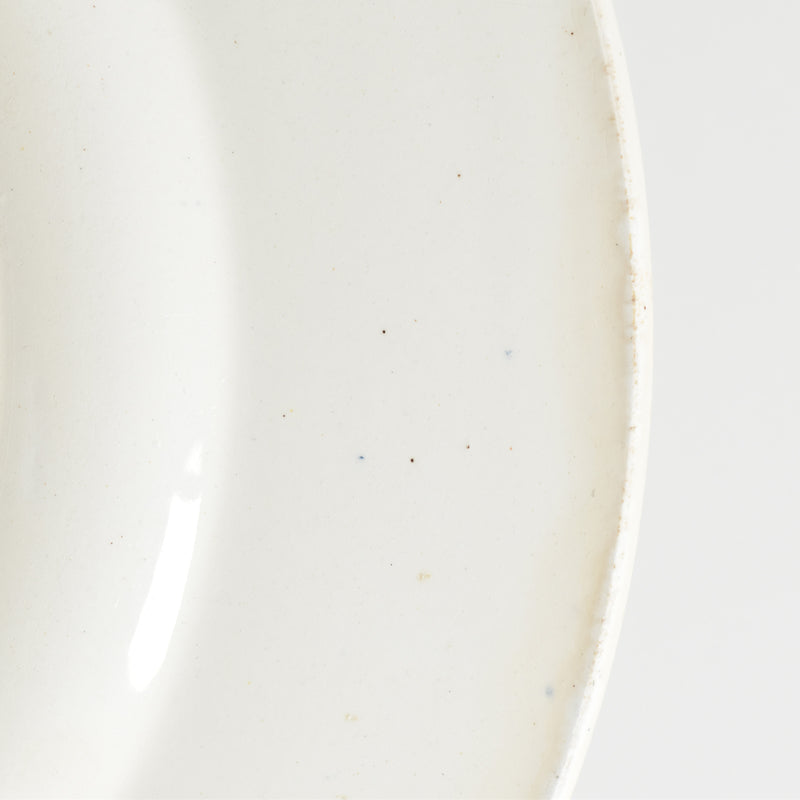 Antique Plate Terre de Fer Coquillages D