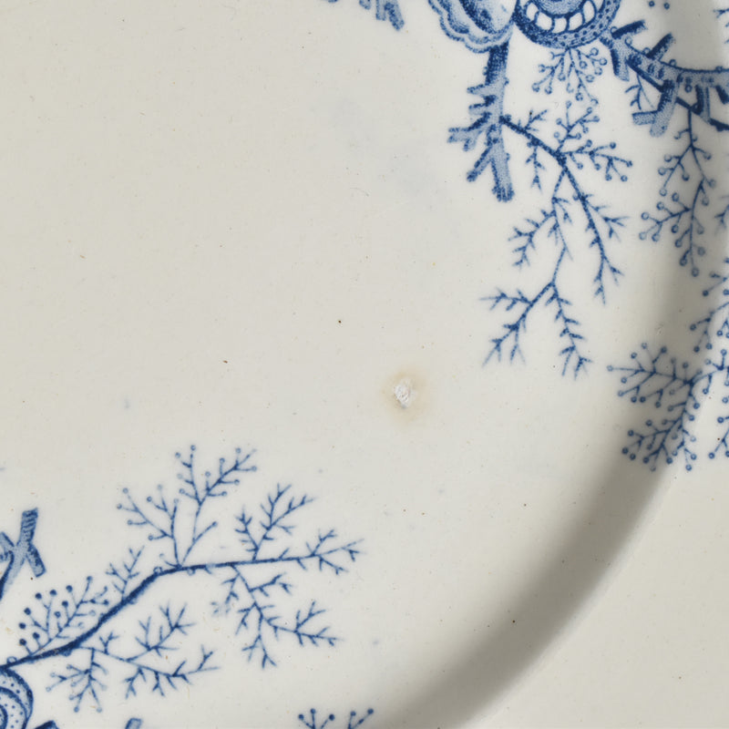 Antique Plate, Terre de Fer, Coquillages F