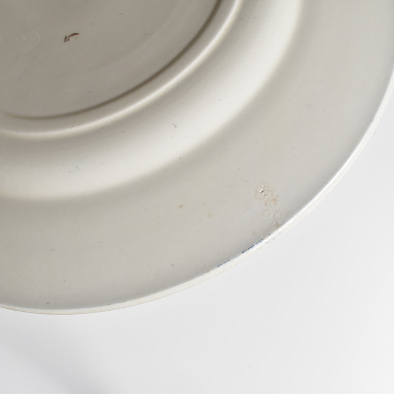 Antique Plate, Terre de Fer, Coquillages F