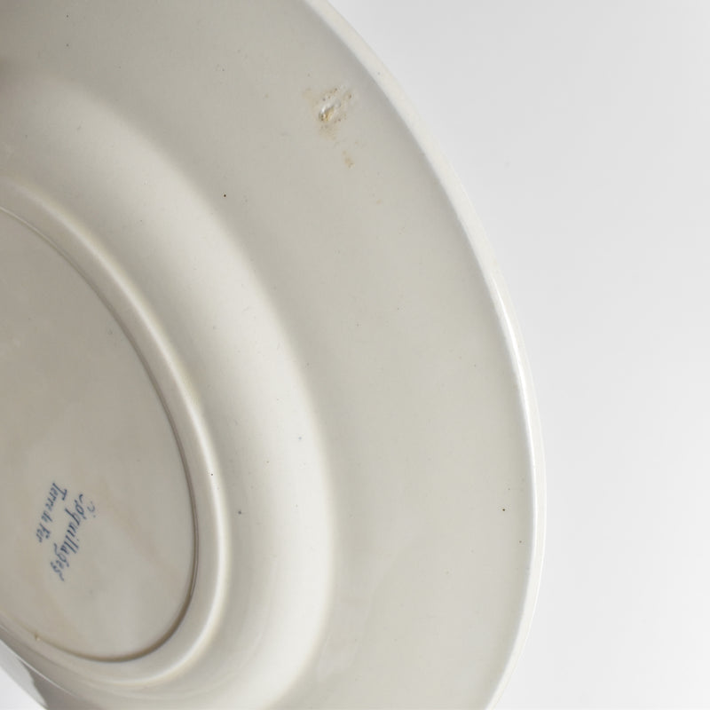 Antique Plate, Terre de Fer, Coquillages F