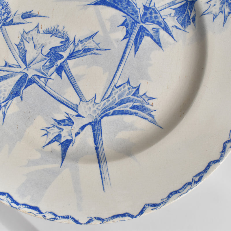 Antique dessert plate, Creil et Montereau, Chardons (Thistles)
