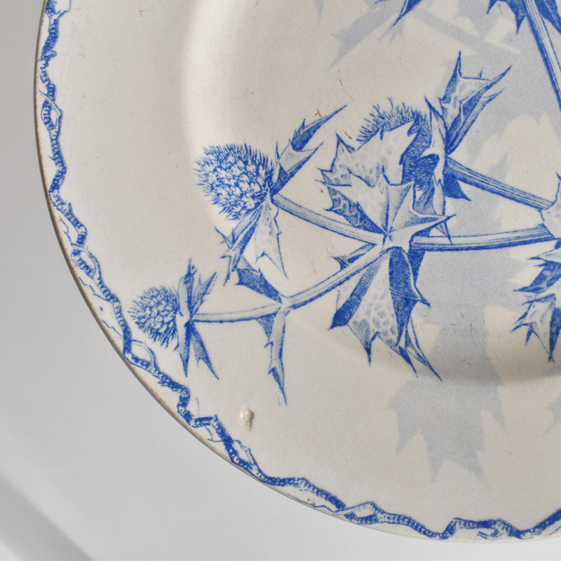 Antique dessert plate, Creil et Montereau, Chardons (Thistles)