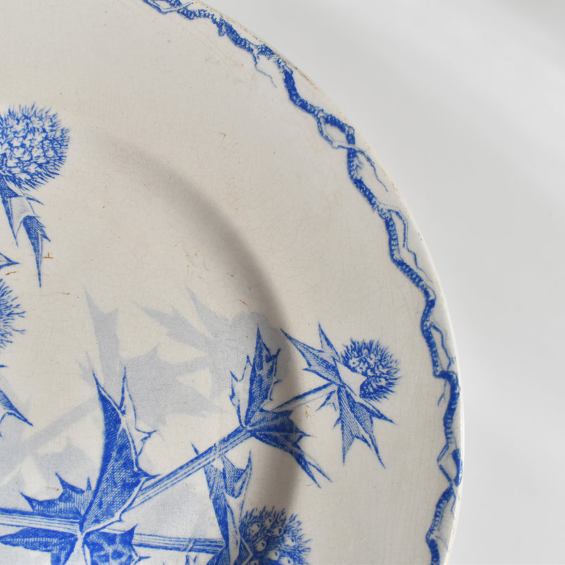 Antique dessert plate, Creil et Montereau, Chardons (Thistles)