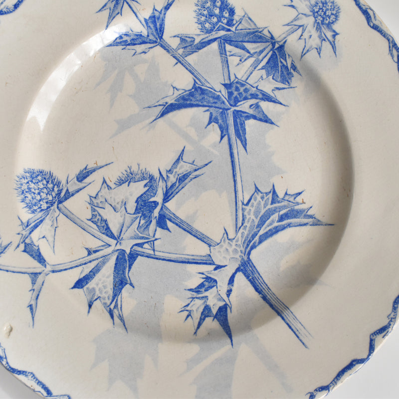 Antique dessert plate, Creil et Montereau, Chardons (Thistles)