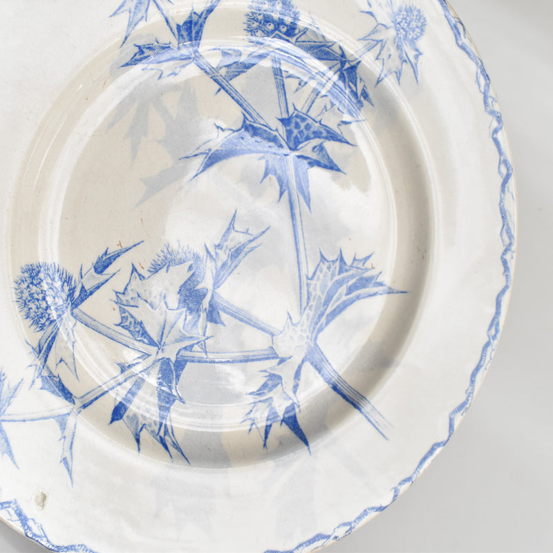 Antique dessert plate, Creil et Montereau, Chardons (Thistles)