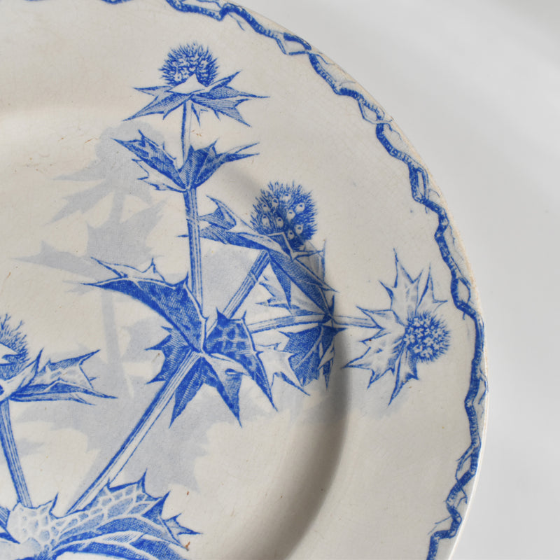 Antique dessert plate, Creil et Montereau, Chardons (Thistles)