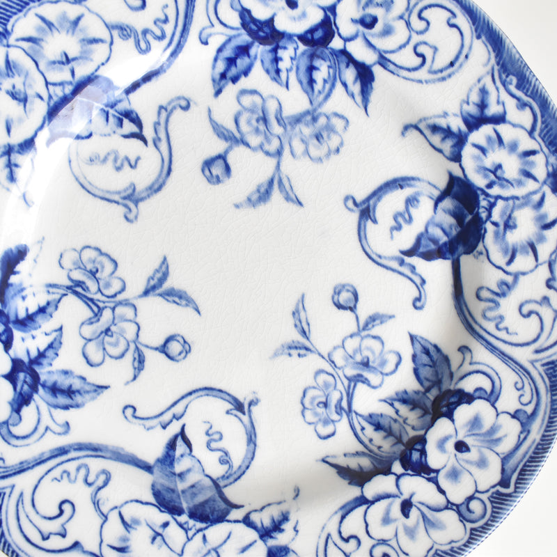 Antique plate Creil et Montereau Flora A