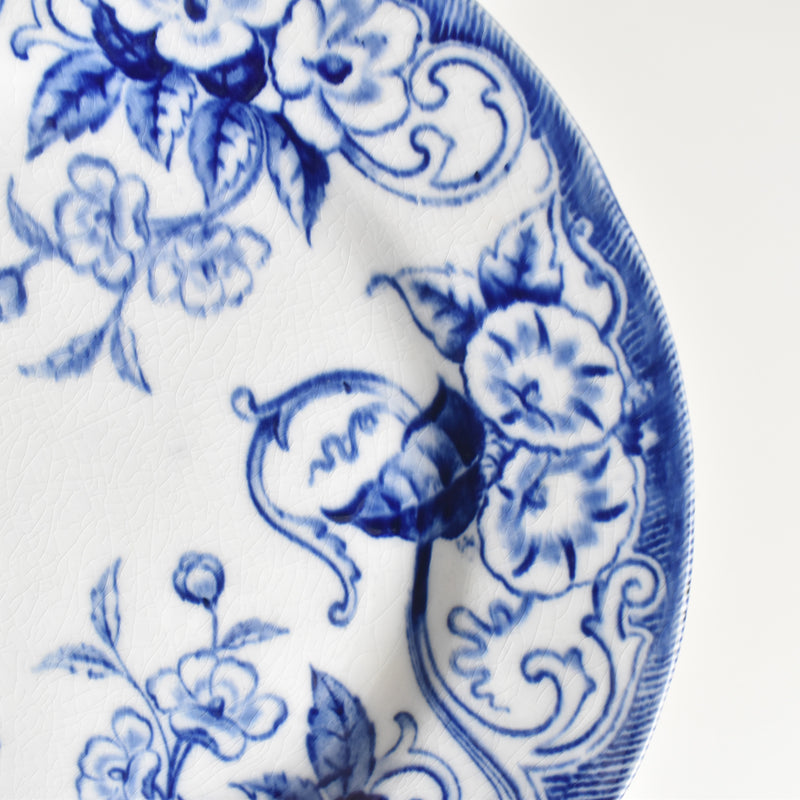 Antique plate Creil et Montereau Flora A