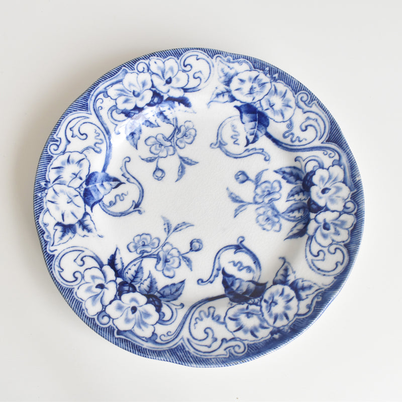 Antique plate Creil et Montereau Flora A