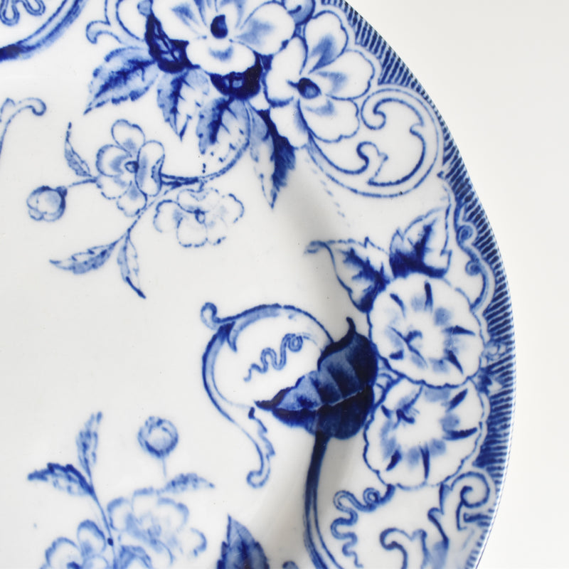 Antique plate Creil et Montereau Flora B