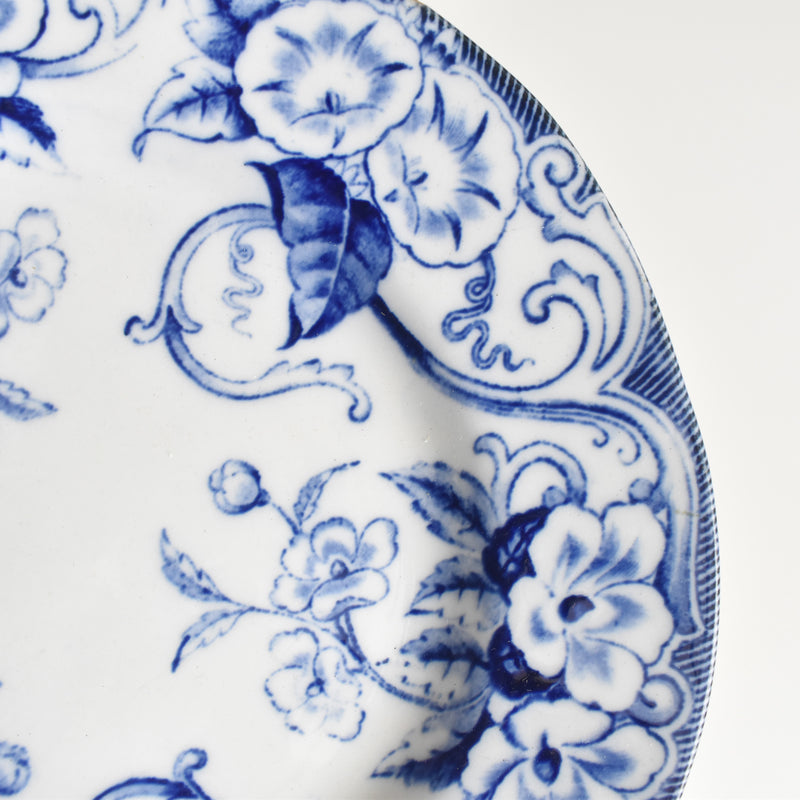 Antique plate Creil et Montereau Flora B