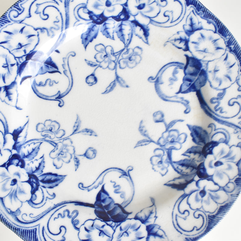 Antique Plate Creil-Montereau Flora C