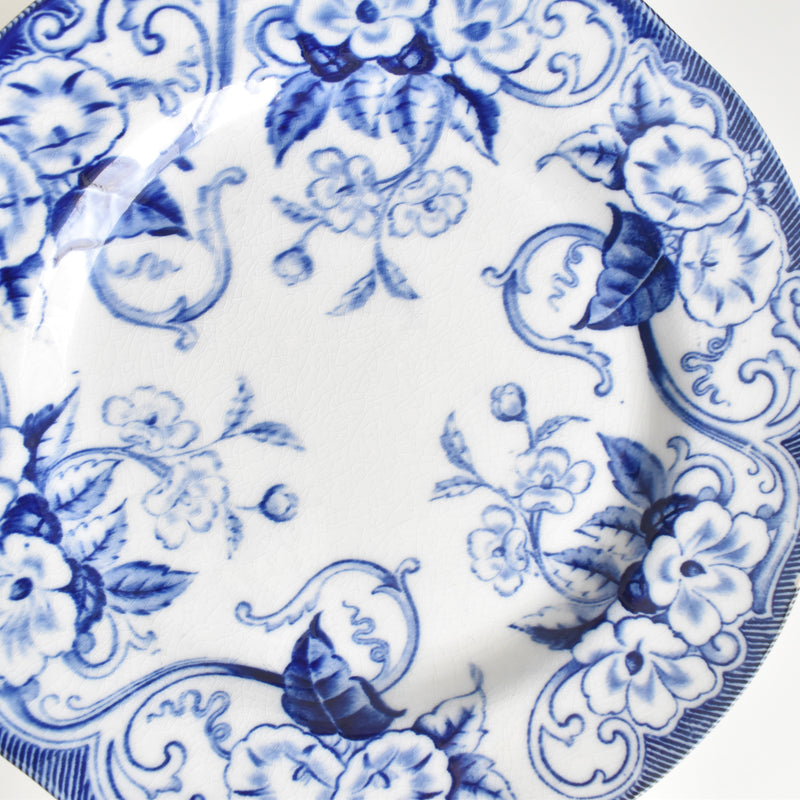 Antique plate, Creil et Montereau, Flora D