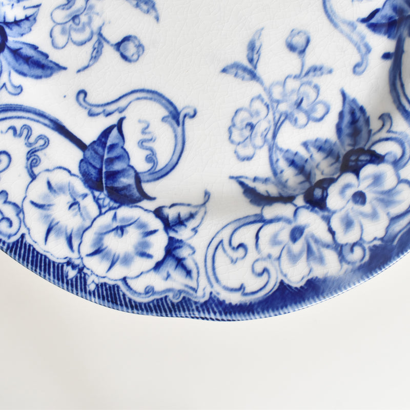 Antique plate, Creil et Montereau, Flora D